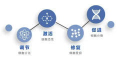 《6个1纯天然抗衰黄金配方：开启天然抗衰新纪元》