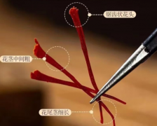 正品藏红花品牌推荐:十款正规渠道可查、防伪体系完善的品牌榜单